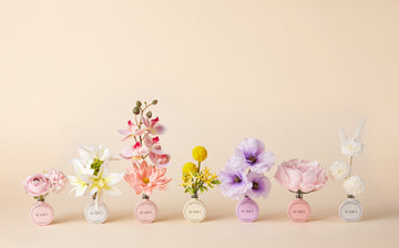 RABO Flower Bloom Collection [S.1]