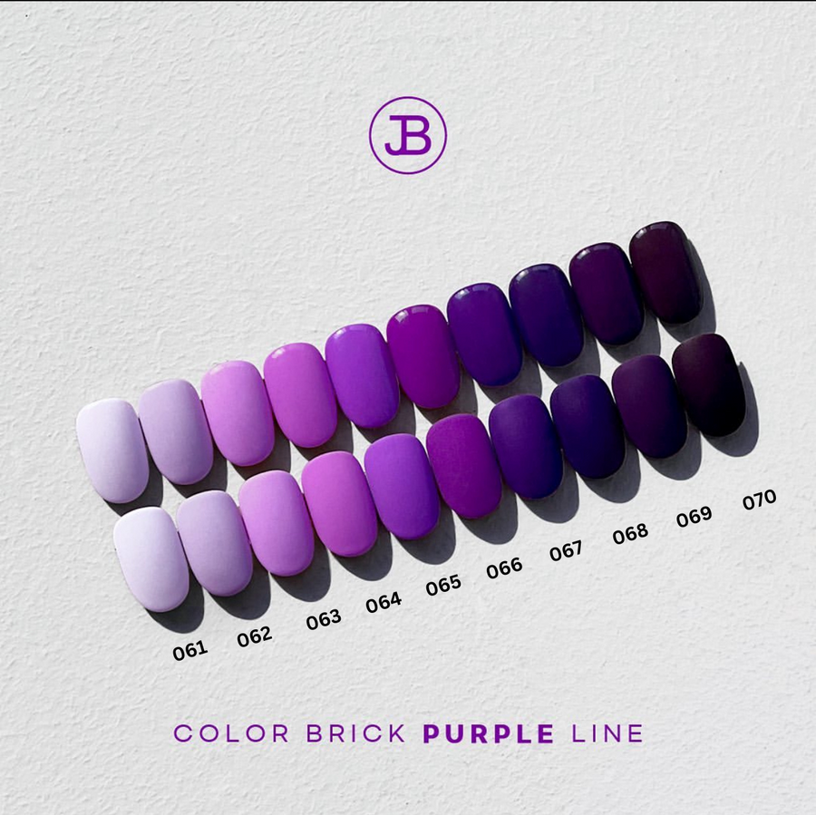 JIN.B Color Brick [PURPLE LINE]